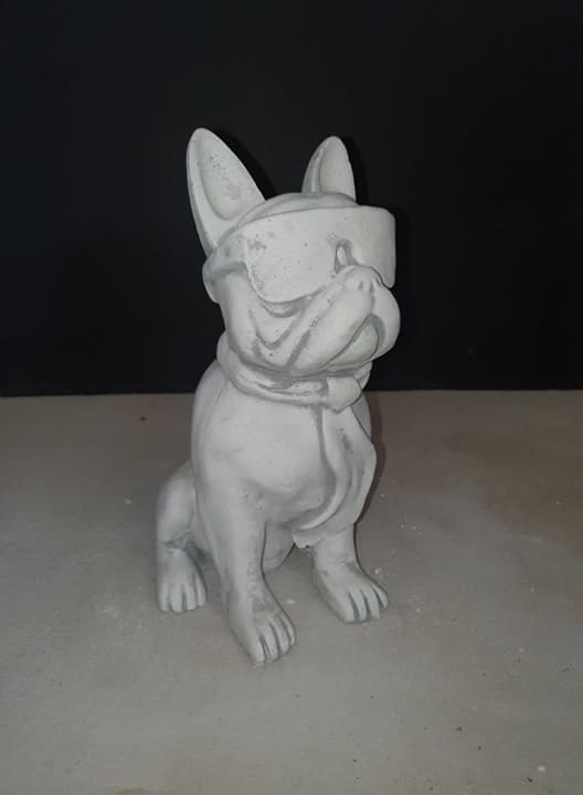 Franse bulldog met zonnebril