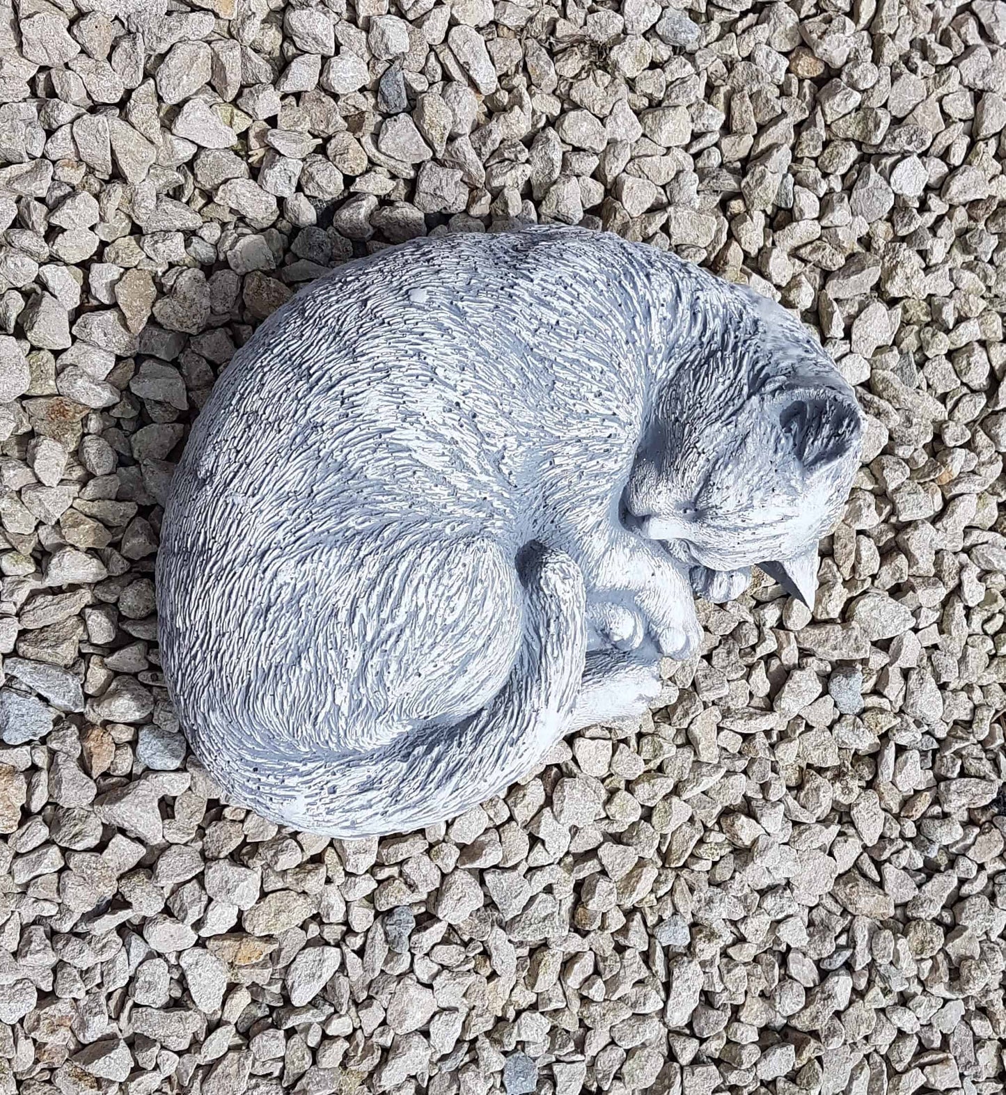 Slapende kat in bolletje