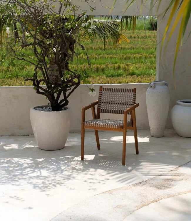 Trikeri Dining Chair