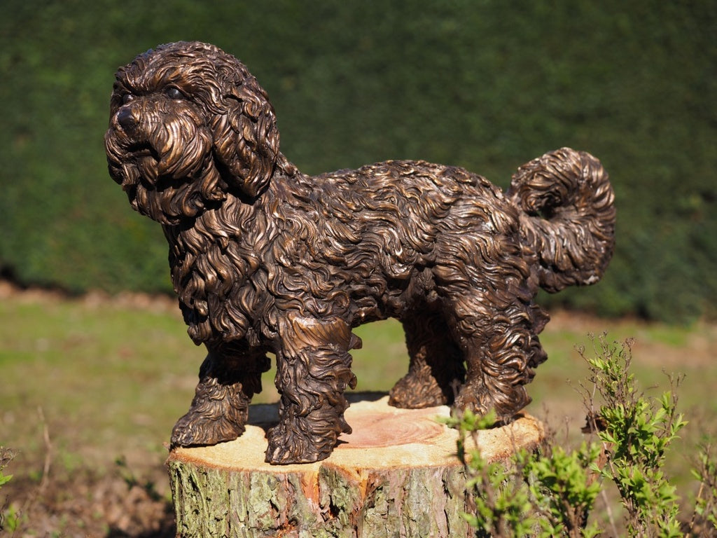 Labradoodle