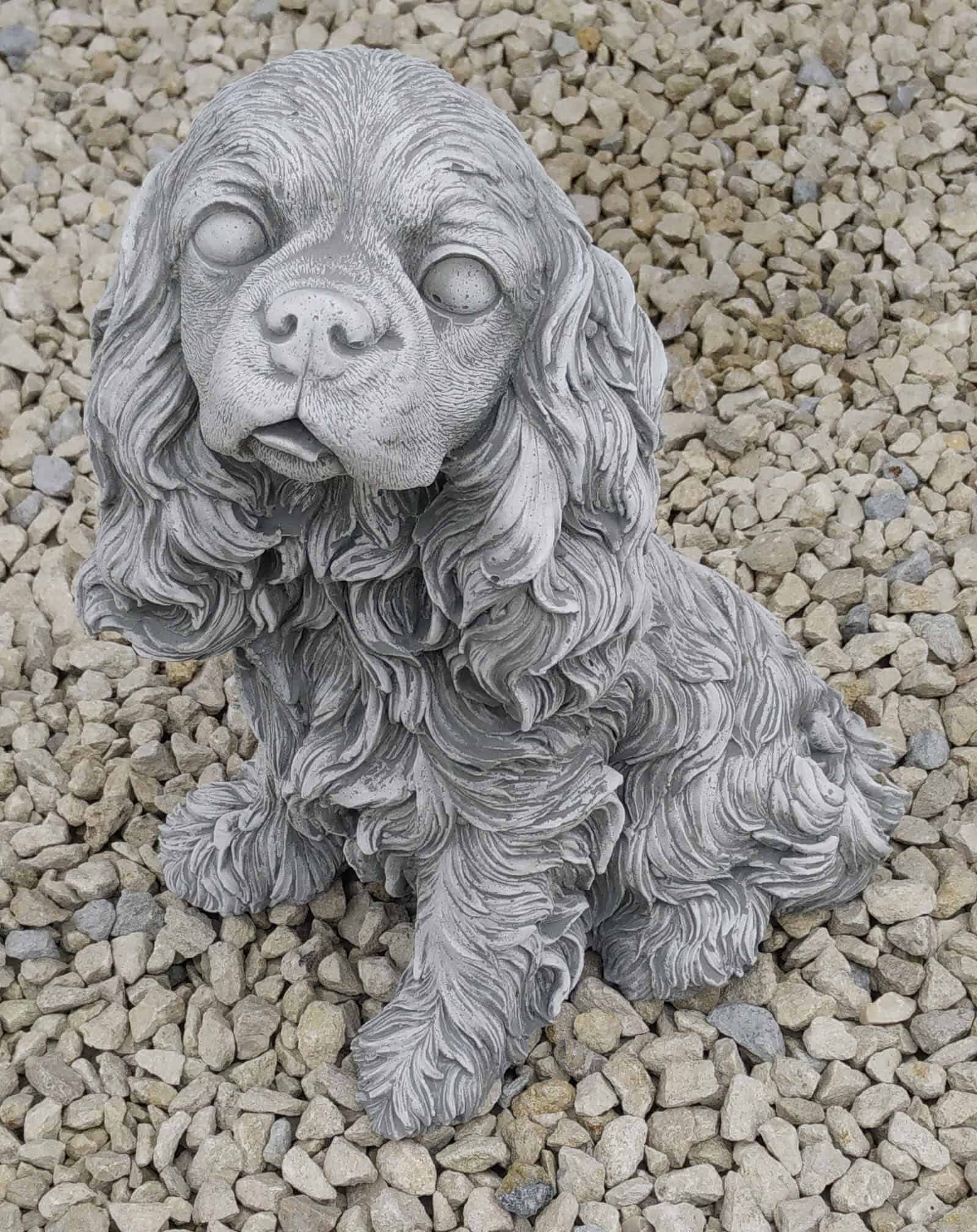 Cavalier King Charles Spaniel