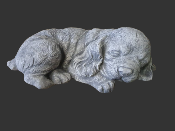Cavalier King Charles Spaniel pup