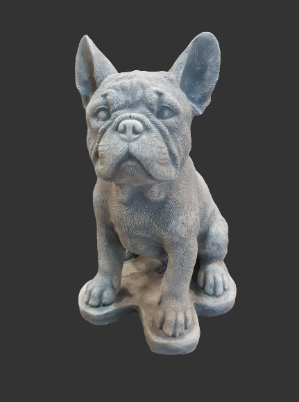 Franse bulldog