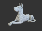 Deense Dog