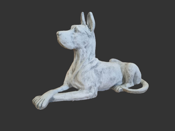 Deense Dog