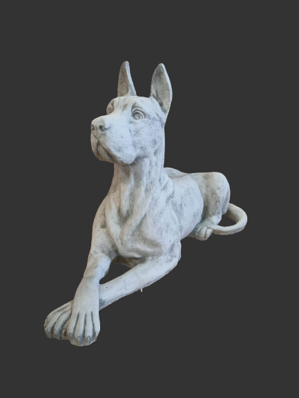 Deense Dog
