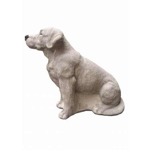 Labrador