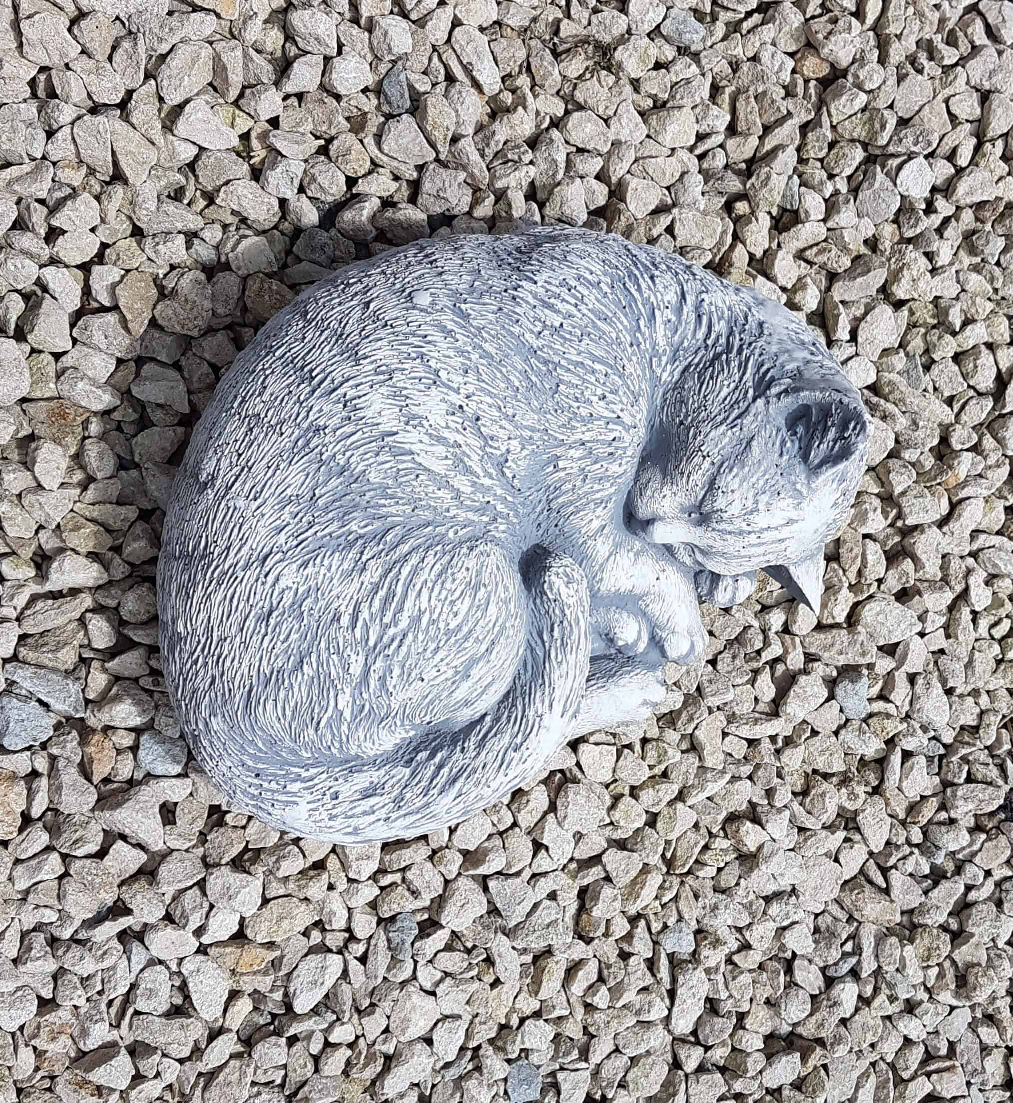 Slapende kat in bolletje