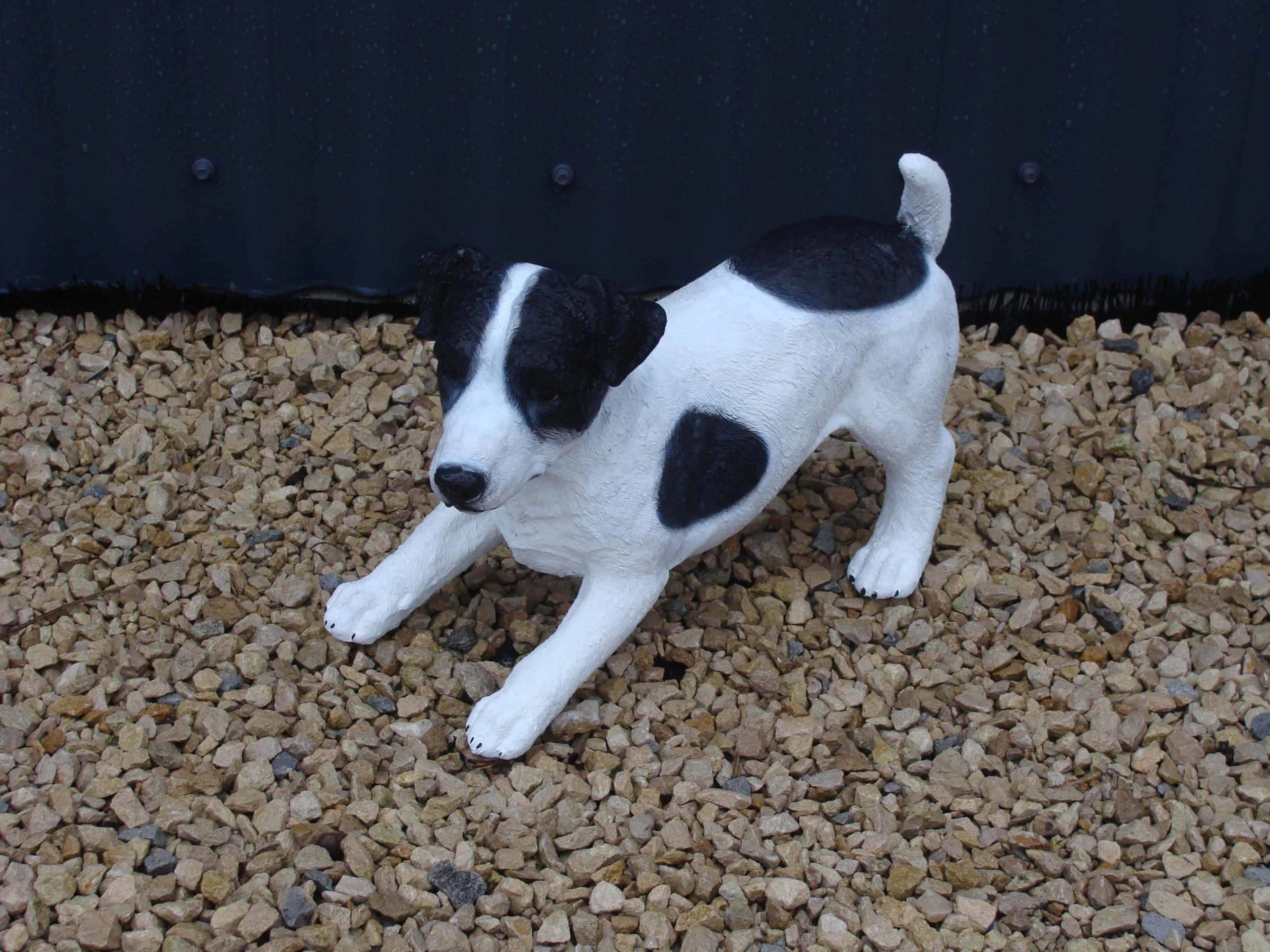 Jack Russel