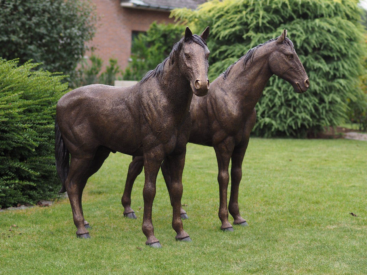 Koppel paarden